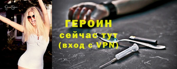 хмурый Белокуриха