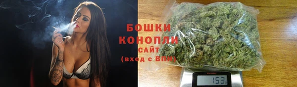 хмурый Белокуриха