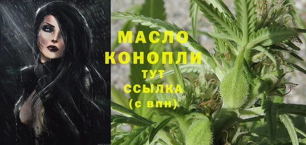 хмурый Белокуриха