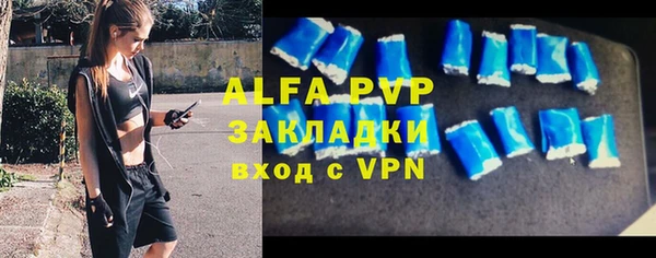 хмурый Белокуриха