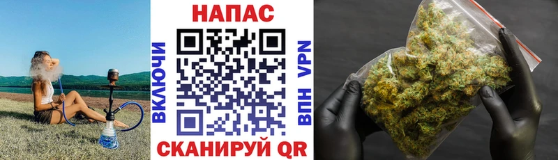 Марихуана тримм  Мариинский Посад 